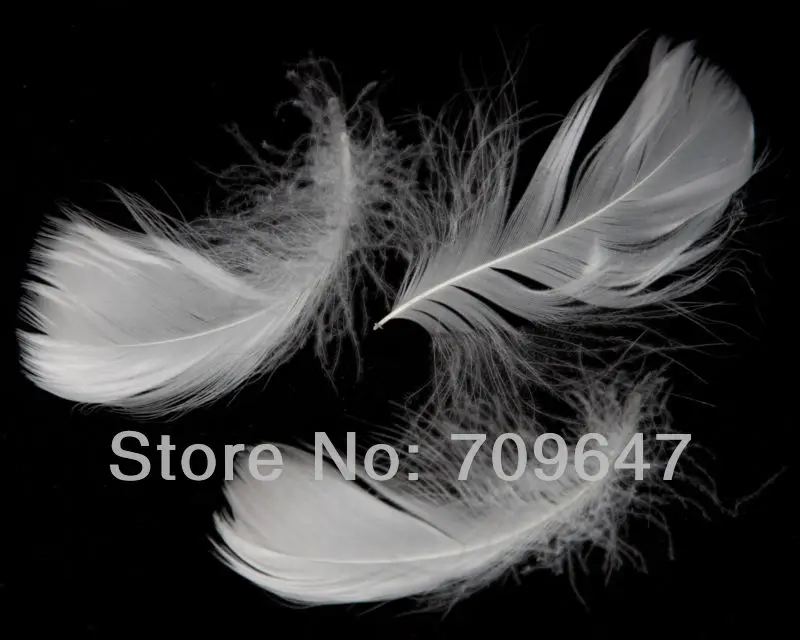 

White Feather!200PCS/LOT 4-6cm LOOSE BRIGHT WHITE GOOSE COQUILLE FEATHERS for Bridal Accessories, Fascinators & more