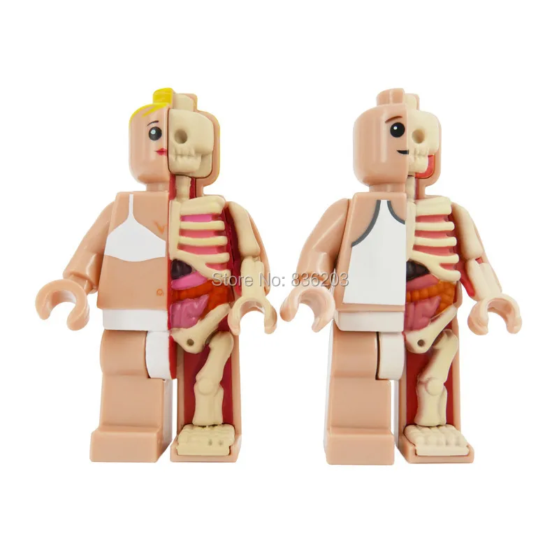 4D master vision Micro female Dissected figfunny анатомическая модель медицинская Джейсон Фрей Скелет Анатомические научные развивающие игрушки