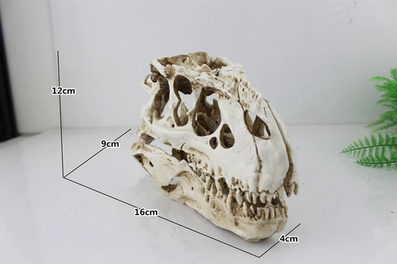 Аквариумный аквариум ormanent crawler box украшение из смолы tyrannosaurus rex skull 16*9*12 см | Дом и