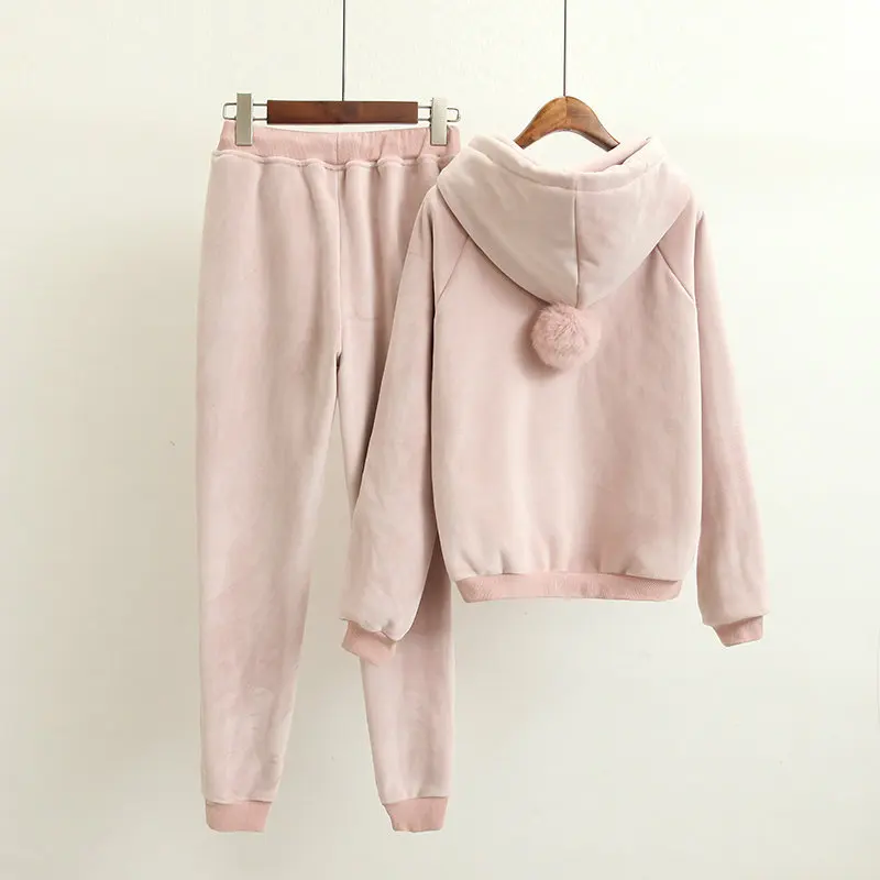 2019 Fashion Winter Women Sporting Hooded Sweatshirt+Pants Velvet Sweat Suit Letter Embroidery Two Piece Set For Tracksuit | Женская