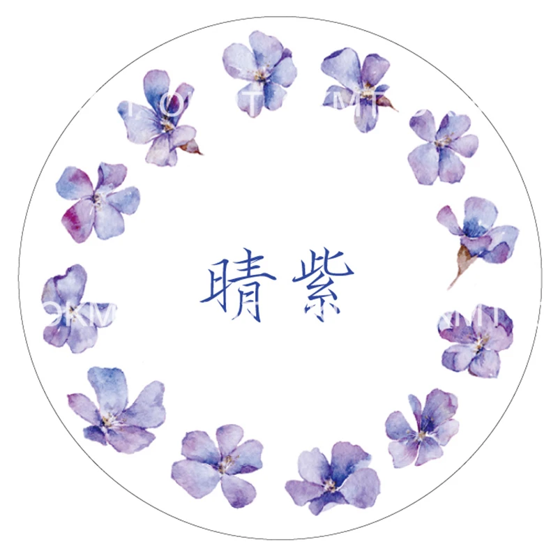 Васи-лента синяя птичка лента для маскировки цветов скрапбукинг Васи-скотч