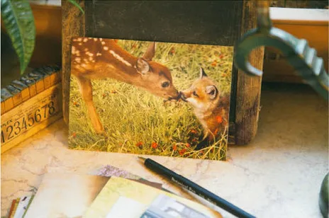 Новая Винтажная красивая открытка с оленем 32 шт./лот | Дом и сад