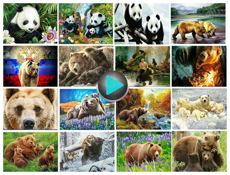 

Diamond Painting Panda Bear Full Square Diamond Resin Diamond Mosaic Animal Rhinestone 3d Diamond Embroidery Crafts 20x25cm