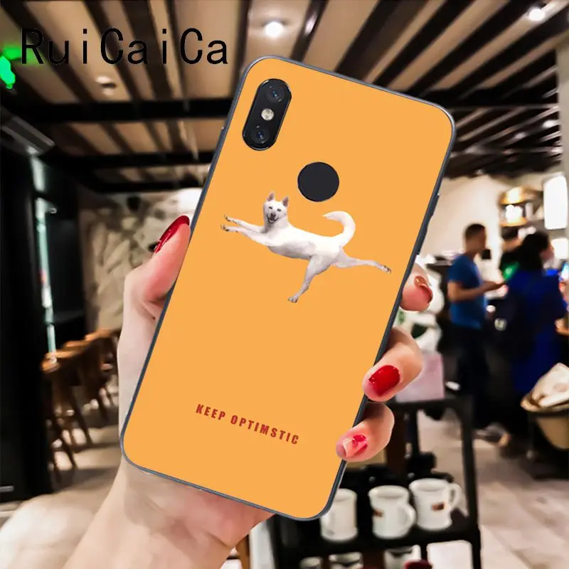 Чехол для телефона Ruicaica Funny Personal art illustration Cat pepe Xiaomi Mi 6 Mix2 Mix2S Note3 8 8lite Redmi 5 note5 Note4 4X |