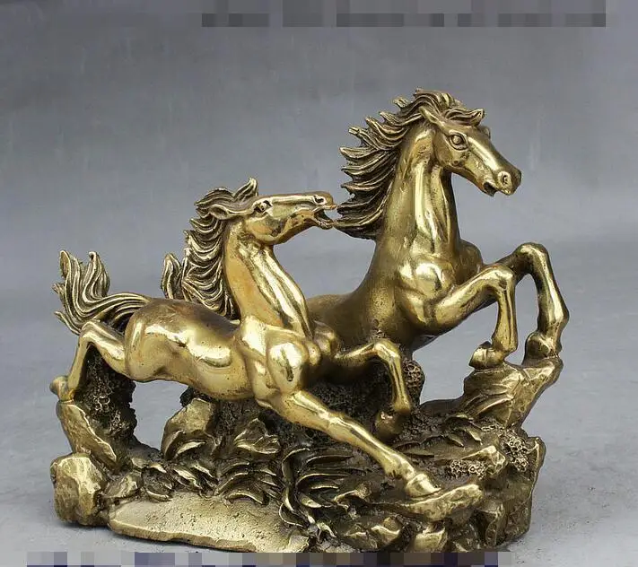 Народные Китайский Фэншуй Латунь Перспективе Успех Зодиака 2 Перейти Дикая