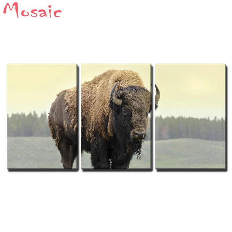 Алмазная вышивка сделай сам полностью квадратная/круглая Bison in grassland 3 шт./компл.