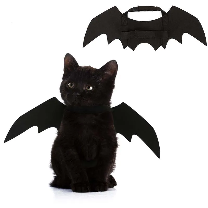 Костюм Кошки на Хэллоуин черный милый наряд крылья летучей мыши реквизит для