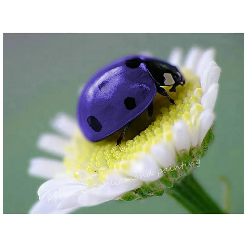 DIY набор для вышивки крестом 5D с квадратными мозаиками, вставленными стразами-жуками, ручной работы.