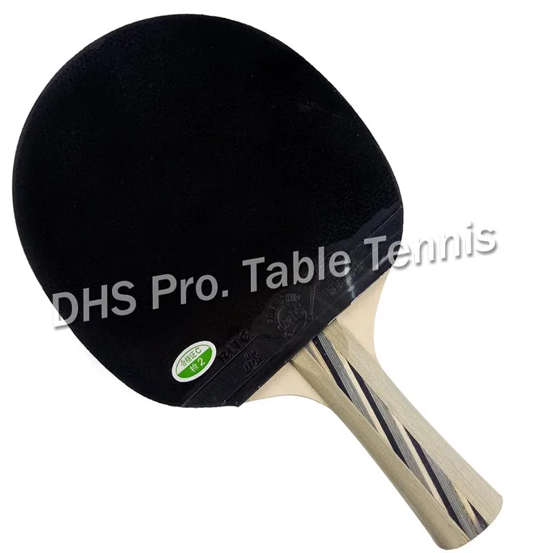 РИТЦ 729 2010# ракетка для настольного тенниса pingpong+ чехол для летучей мыши Shakehand с длинной ручкой FL