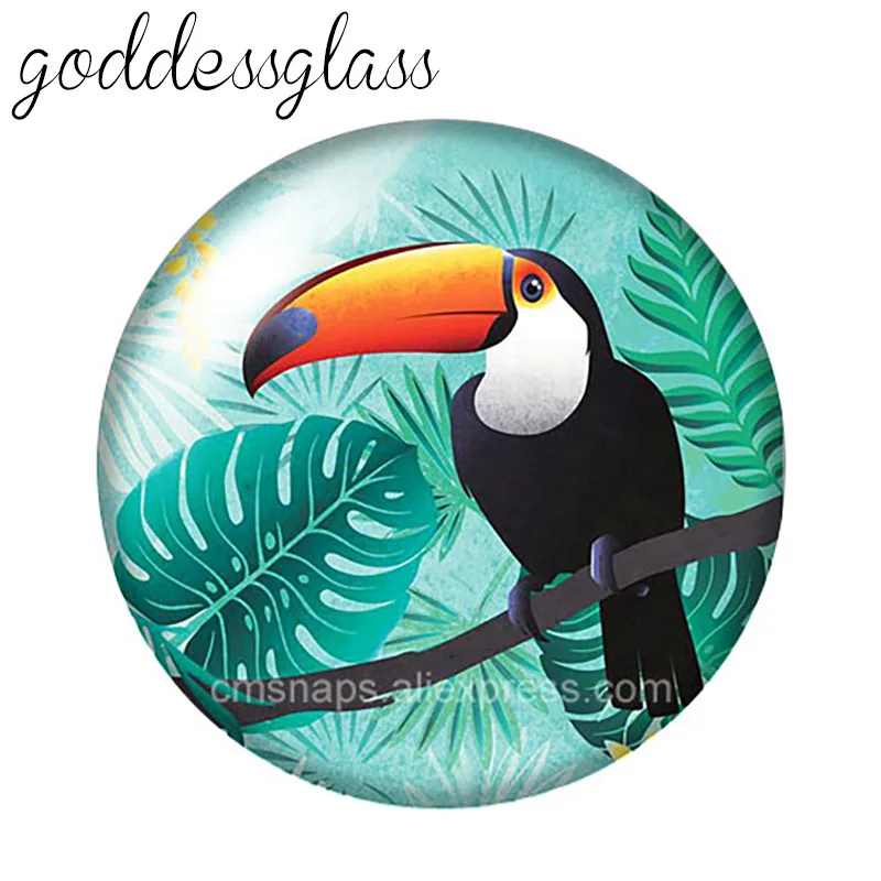 Lovely Bird Ramphastos toco 10pcs mixed 12mm/18mm/20mm/25mm Round photo glass cabochon demo flat back Making findings ZB1099 | Украшения и