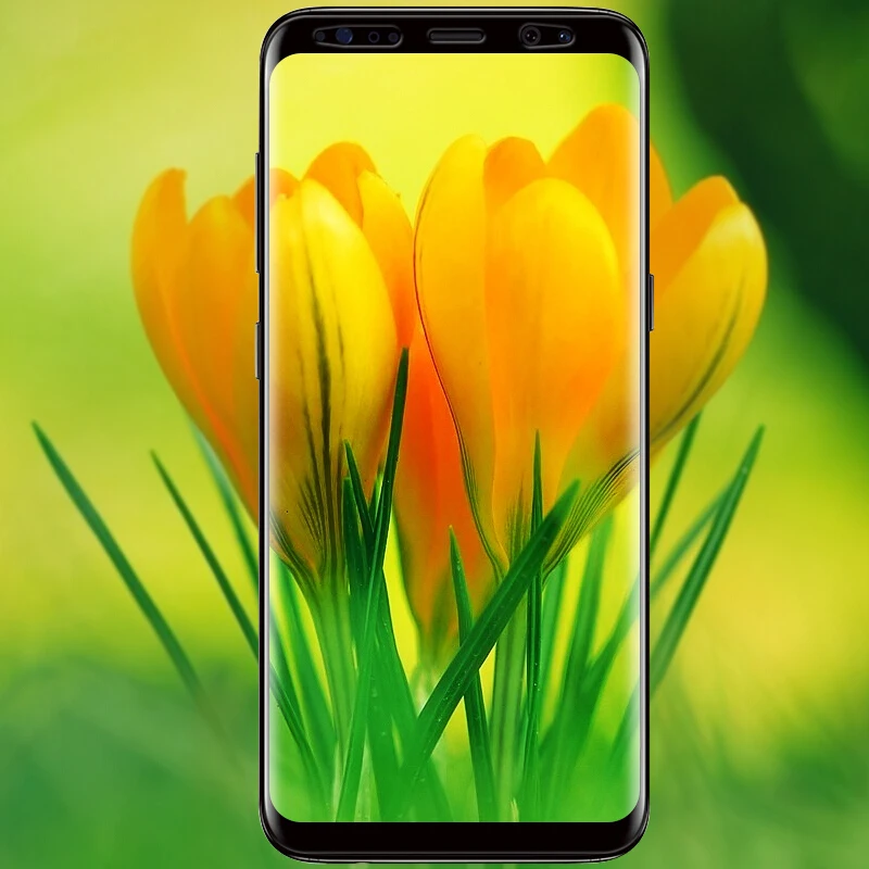 Спереди Сзади Volledige Dekking защитная пленка из термополиуретана для samsung Galaxy S9 Gebogen