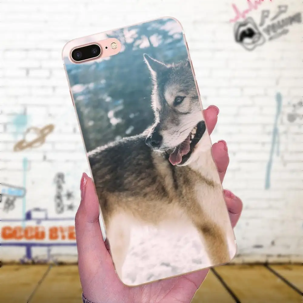 Wolf On Snow идеально подходит для Galaxy J1 J2 J3 J330 J4 J5 J6 J7 J730 J8 2015 2016 2017 2018 mini Pro мягкая новая