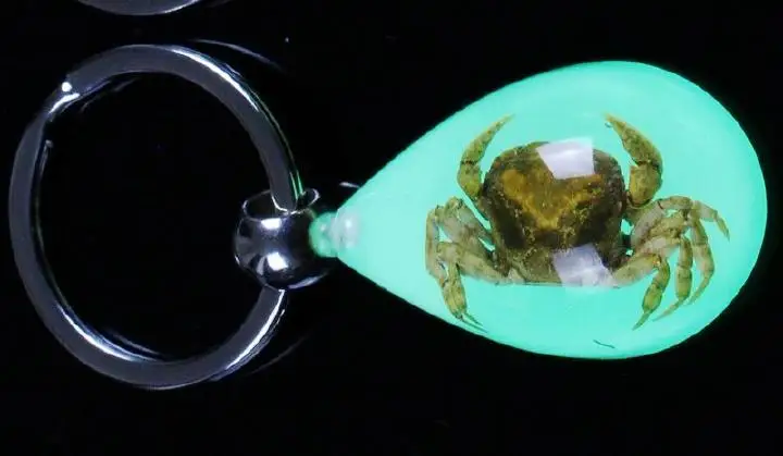 Бесплатная доставка 10 брелок настоящий Краб насекомое светится в темноте