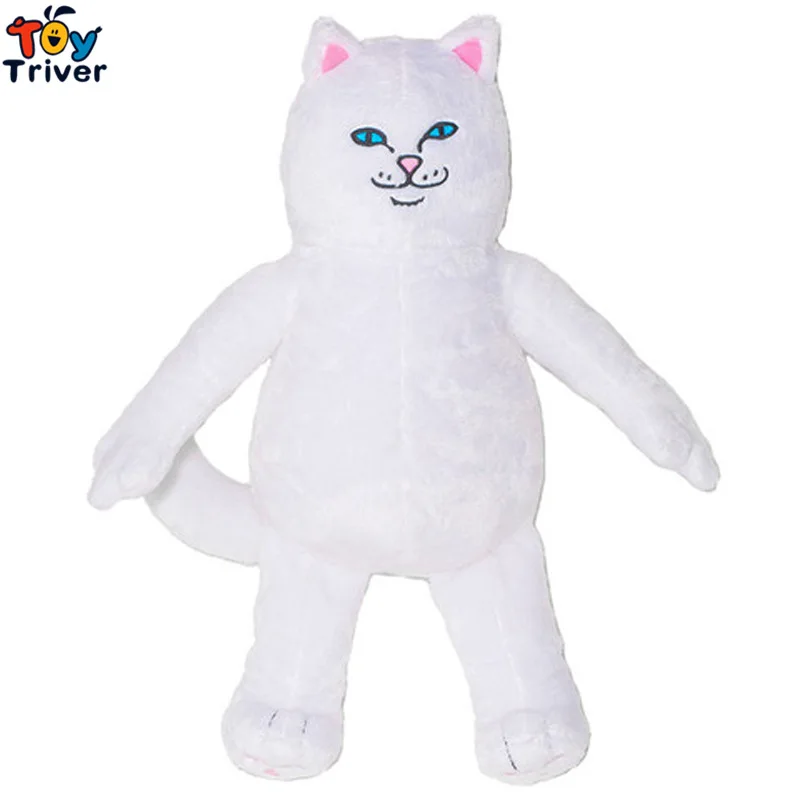 См 40 см Плюшевые лорд кошка игрушка мягкая зеленый чужой Кукла Kawaii подарок на