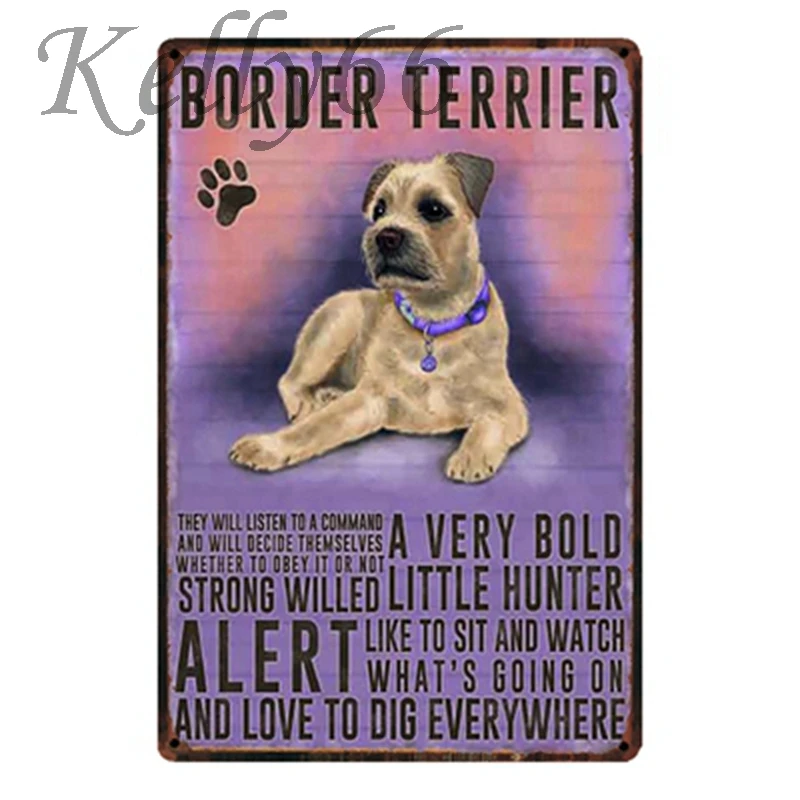 [ Kelly66 ] BORDER TERRIER Metal Sign Tin Poster Home Decor Pet Store Wall Art Painting 20*30 CM Size y-1611 | Дом и сад