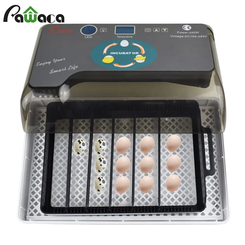 

12 Eggs Automatic Digital Eggs Incubator Hatcher Home Mini Hatching Incubator Chicken Duck Egg Incubator Hatching Machine