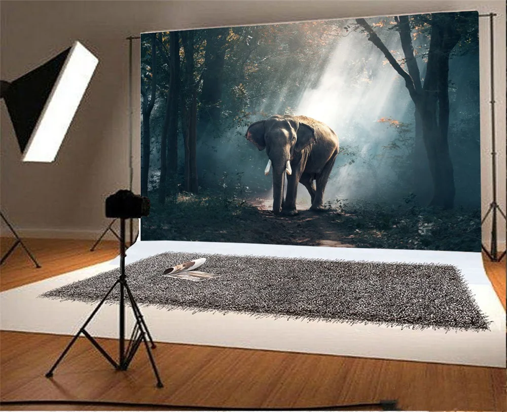 Laeacco Dark Forest Shine Pathway Elephant Scene Baby Photography Backgrounds Customized Photographic Backdrops For Photo Studio |