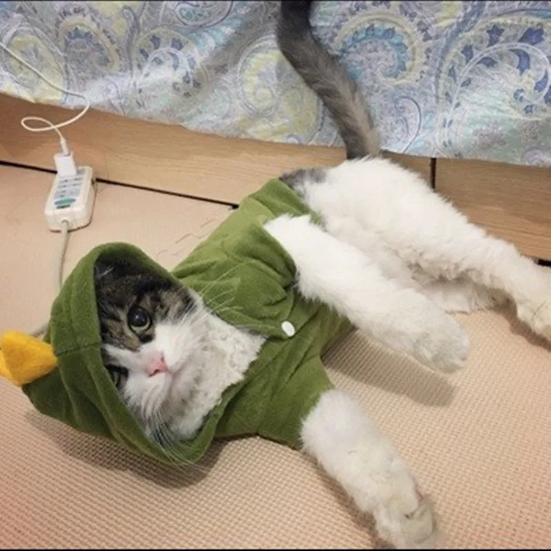Флисовая одежда для домашних животных, котов, костюмированных пижам, вечерние наряды, одежда для собак, пальто, куртки, толстовки, одежда, Roupa para cachorro 25 A1