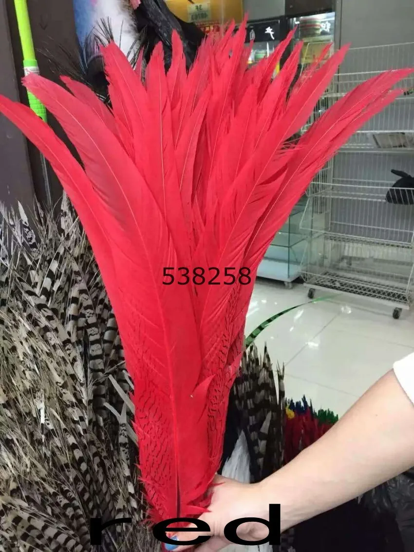 

55-60cm silver pheasant feathers for craft dancer decoration plumages