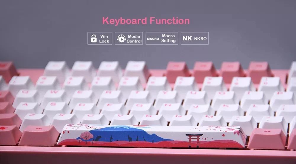 AKKO 3108 V2 тип-c Проводная Механическая игровая клавиатура 108 клавиша PBT Keycap World Tour Series Tokyo