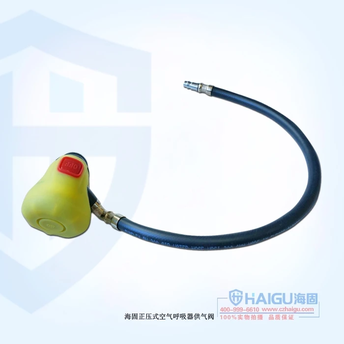 

Sea solid CHZK2 / 9F / 30 mobile gas source car air respirator