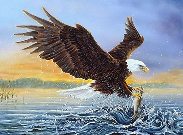 Алмазная картина цветные животные Орел Алмазные Фотографии стразы фотографии