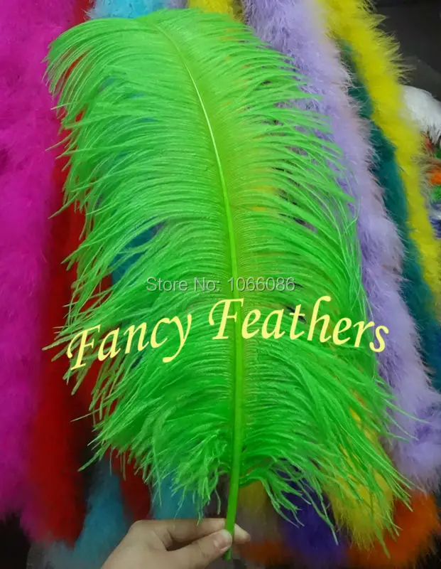 

EMS Free Shipping! 100pcs/lot 60-65cm 24-26" Top quality Green ostrich feathers ostrich plumages plumes