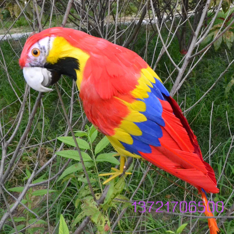 Бесплатная доставка 44 см игрушка попугай полиэтилен Новый меха ремесленных дом