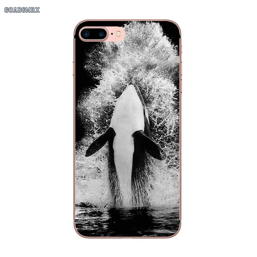 Прозрачный мягкий чехол для iPhone 6 6S 7 8 Plus X XS MAX XR 4 4S 5 5S SE 5C с принтом Кита | Мобильные
