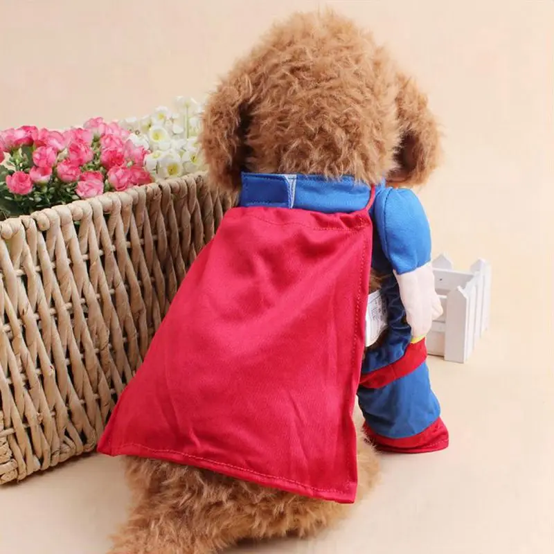 Новинка милые костюмы Супермена для собак одежда больших куртка пальто XS XL|large dog