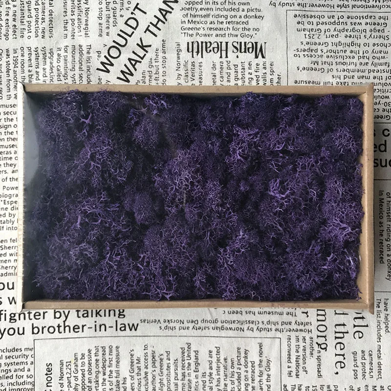 200 г DIY украшения Рождественские подарки долговечные сохраненные цветы мох