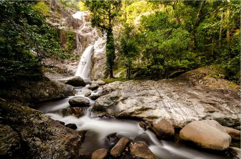 Настенные фрески с изображением природы водопад в джунглях обои 3d для гостиной
