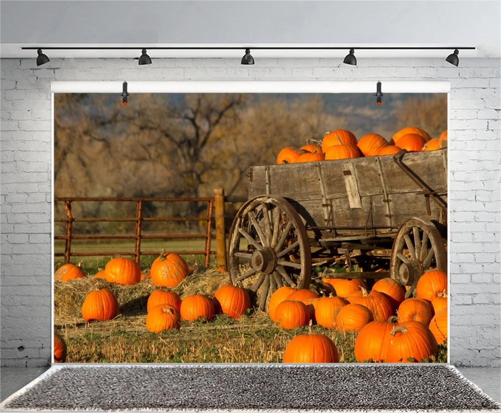 Laeacco фермы сеновале корзину тыквы сцены на День Благодарения фотографические