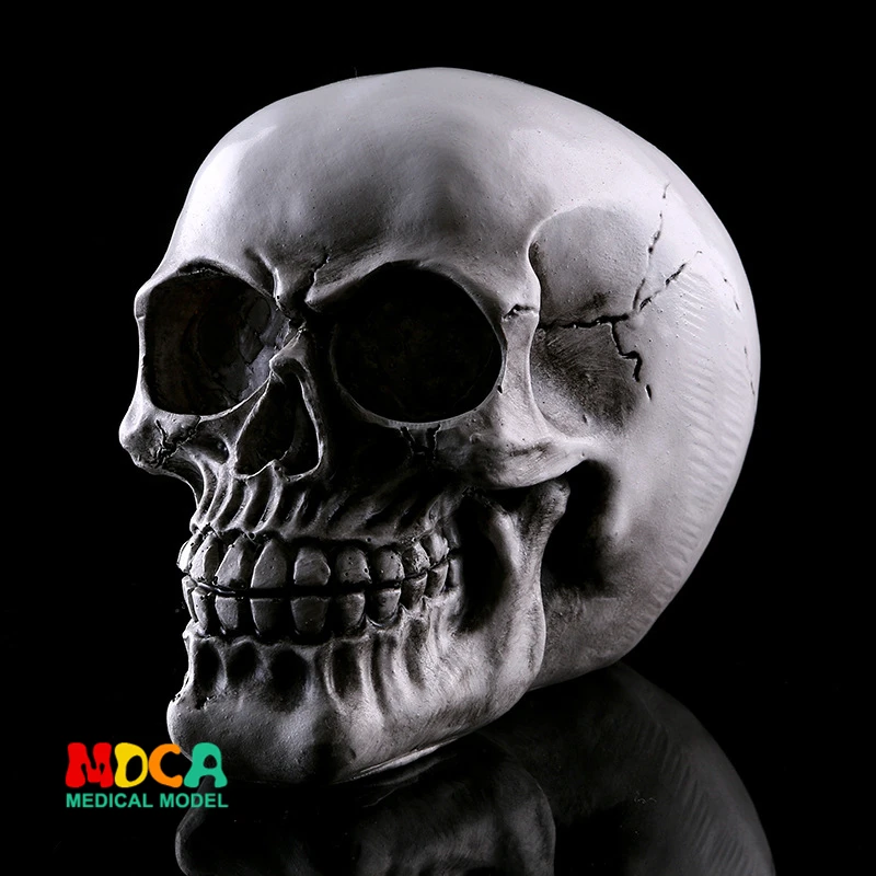 

Resin skull Halloween gifts personal ornaments home accessories GXGT028