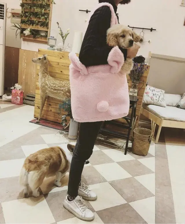 

Princess sweet lolita girl bag Cute Faux Fur Rabbit Ear Tail Handbag Lady Soft Plush Backpacks Women Lovely Shopping Tote