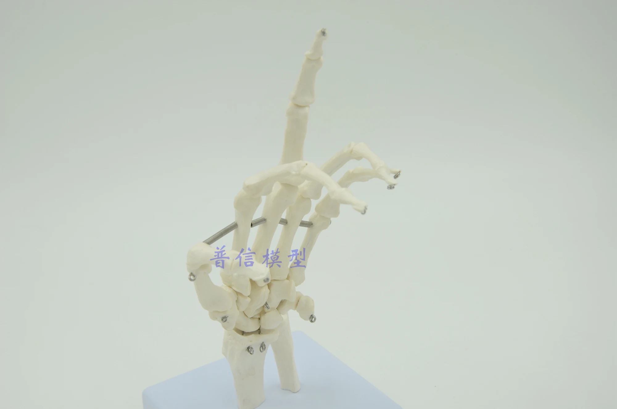 Hand Joint Model Wrist Medical Treatment Ligament Bone School Hospital Educational Supplies | Канцтовары для офиса и дома