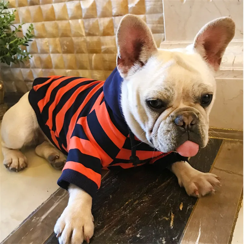 Bigeyedog Мопс Французский бульдог Одежда для собак Зима Осень Весна собака