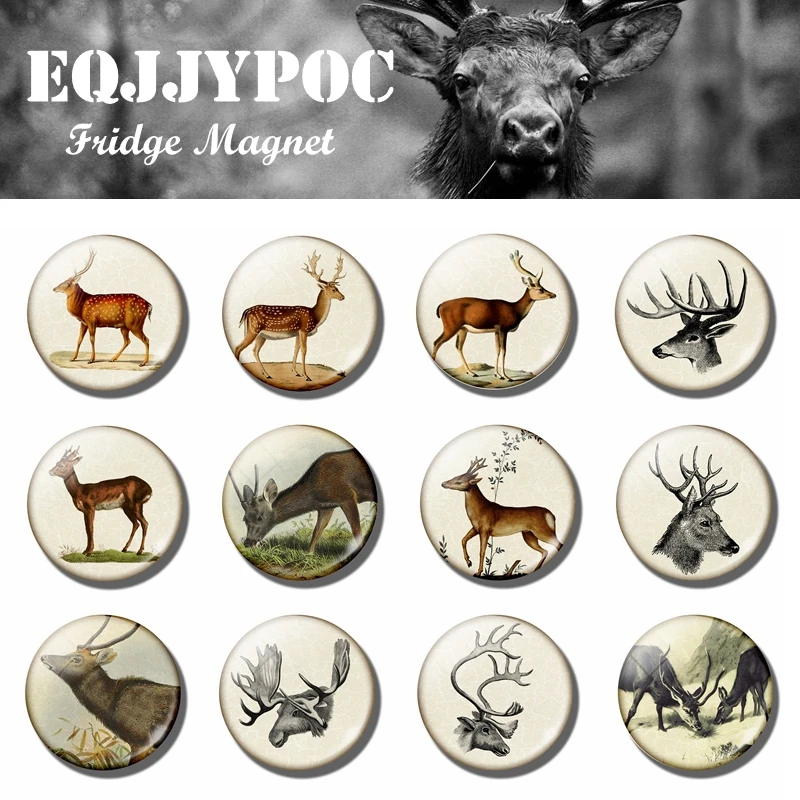 

Deer Fridge Magnet 12pcs Elk 25 MM Glass Note Holder Refrigerator Magnetic Stickers Home Decor Animal Lover Christmas Gifts