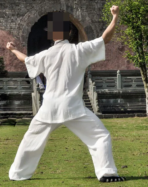 17 видов цветов льняные летние костюмы унисекс с коротким рукавом Wudang tai chi одежда