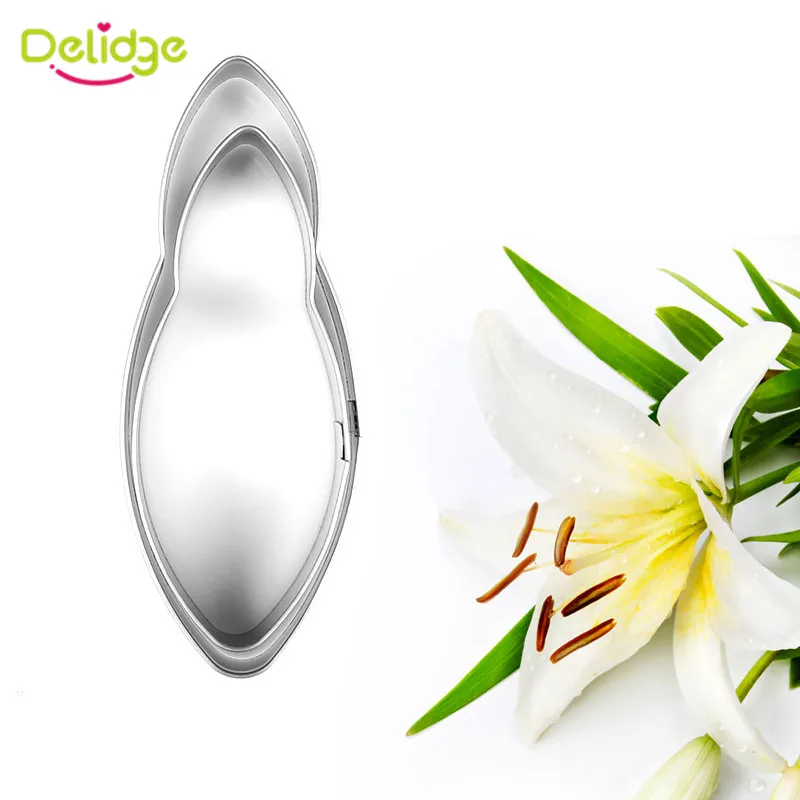 Delidge 2 шт./компл. печенье из нержавеющей стали фондан пирог форма для украшения