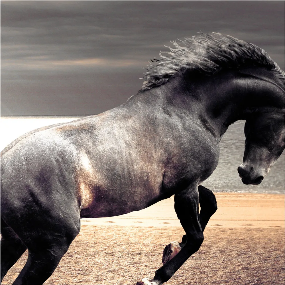 Красивая детская одежда футболки с принтом темной лошади топы для маленьких