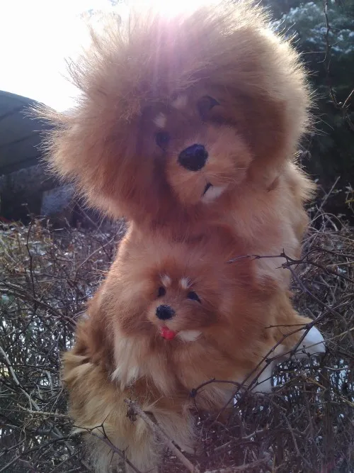 Моделирование Тибетский Неаполитанский мастиф модель из пластика и с лисьим