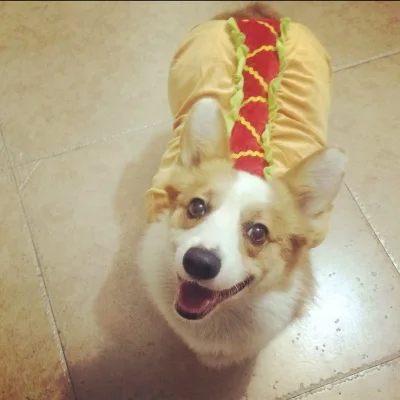 Забавный костюм сосиски для кошек и собак на Хэллоуин Зимняя Теплая Флисовая