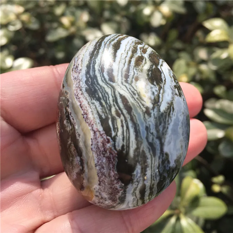 Натуральная Океаническая яшма пальмовый камень драгоценный нерегулярный