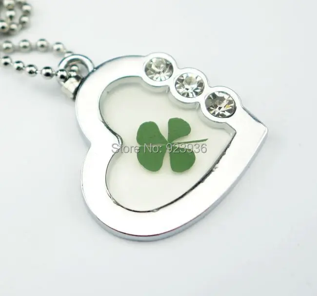 В стиле Св. Патрика День Святого Валентина настоящий Клевер четырехлистный