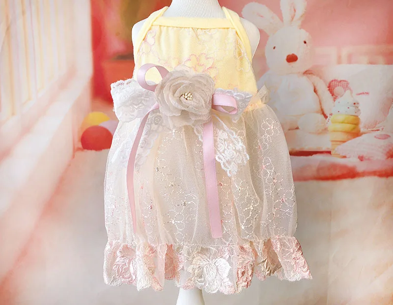 Роскошные вышивает Собака вечерние свадебные Платье с бантом кошка Pet юбка