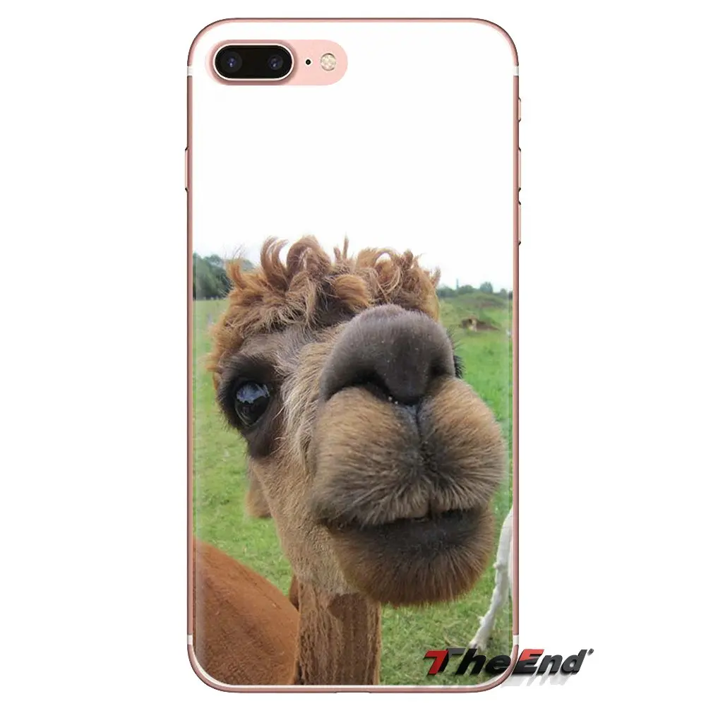 Для iPod Touch Apple iPhone 4 4S 5 5S SE 5C 6 6S 7 8 X XR XS Plus MAX силиконовый чехол для телефона милый