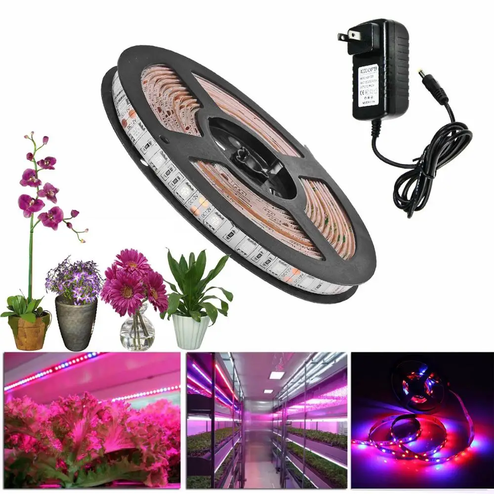 DC 12V SMD 5050 Светодиодный завода светать светильник 1 м 2 5 светодиодный полосы для