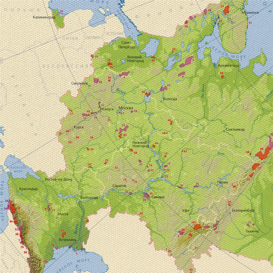 Зеленая карта России винтажный постер Ретро Холст Картина гостиная спальня обои