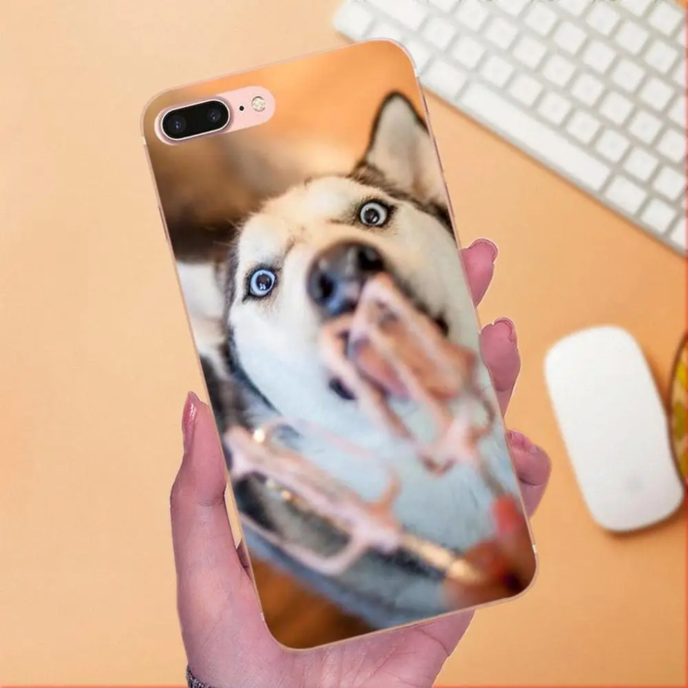 For Galaxy A3 A5 A7 On5 On7 2015 2016 2017 Grand Alpha G850 Core2 Prime S2 I9082 Soft Covers Funny Animal Miniature Husky | Мобильные